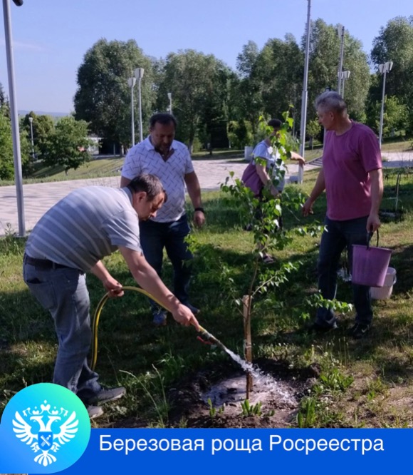 Пресс-релиз от 15.06.2024 «Зазеленела Роща Росреестра»