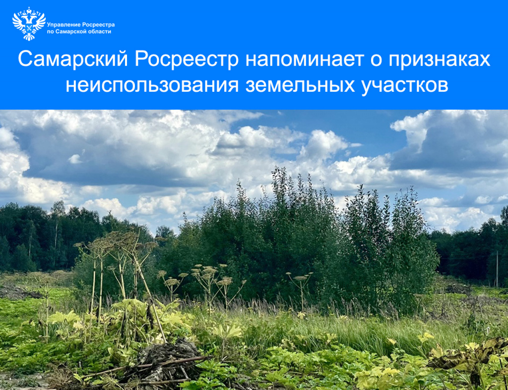 27_Призн неиспол.jpg